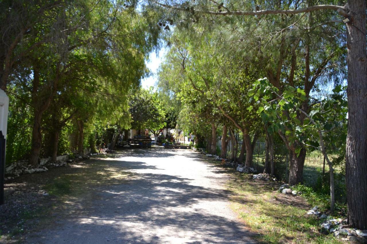 Paradise Guemuesluek المظهر الخارجي الصورة