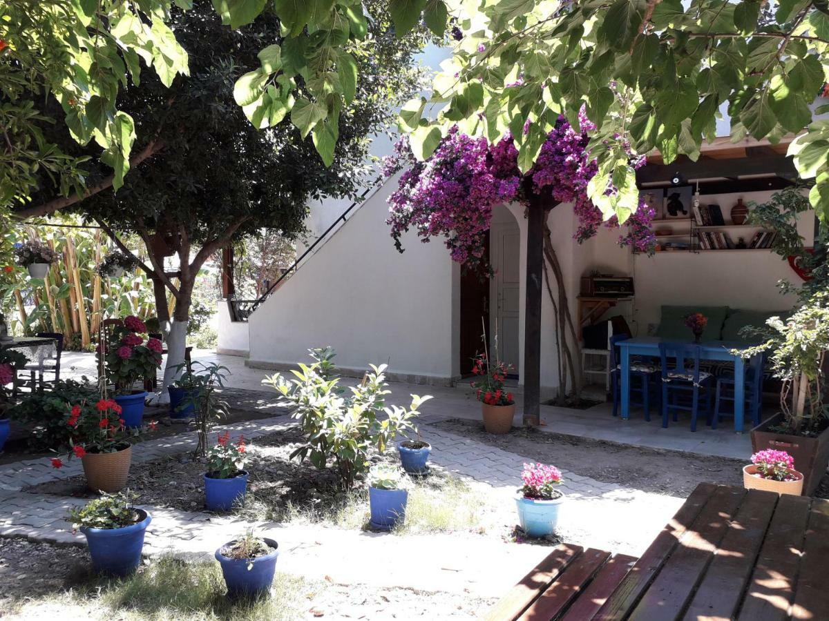 Paradise Guemuesluek المظهر الخارجي الصورة