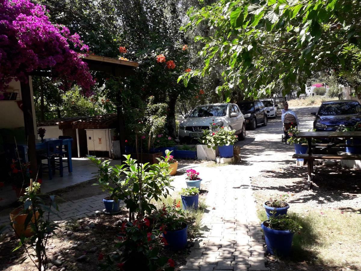 Paradise Guemuesluek المظهر الخارجي الصورة